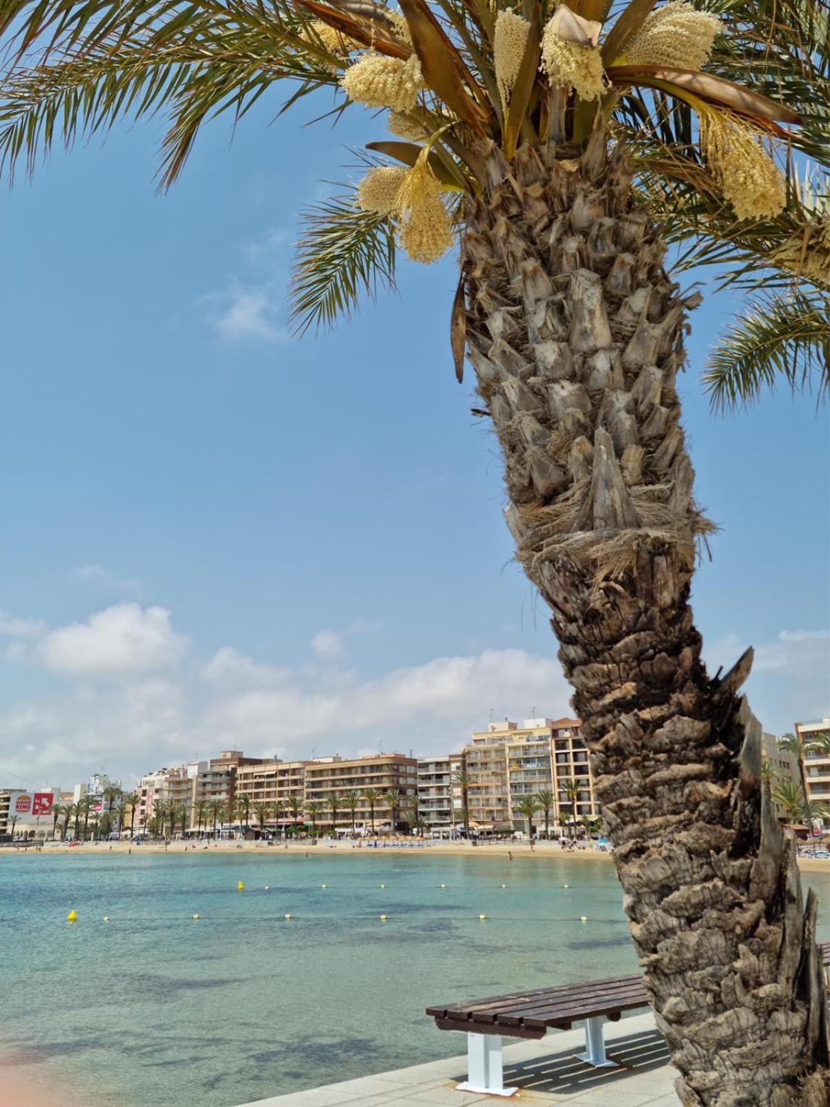 Apartamentos Palangres Torrevieja Exterior photo